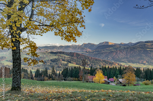 autumnal atmosphere in the ...