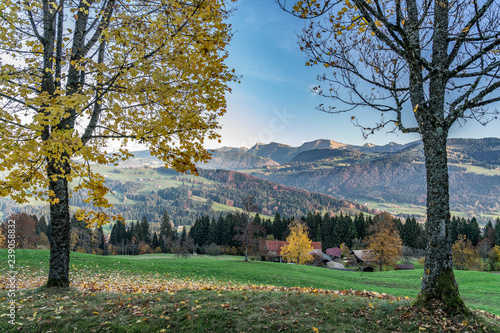 autumnal atmosphere in the ...