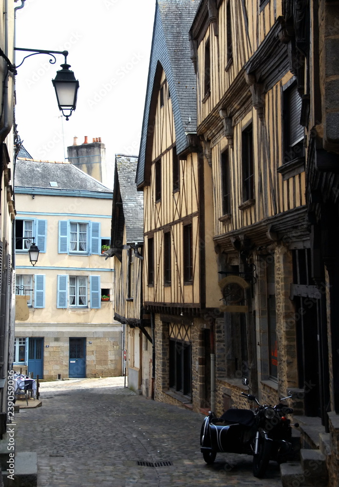 Ville de Laval, maisons colorées à colombages d'une ruelle du centre historique, département de la Mayenne, France	