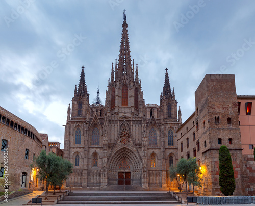 Barcelona. The Cathedral at dawn.