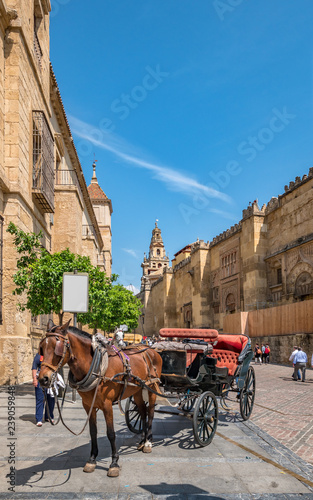 Horse carriage next to the cathedral in Cordoba, Spain.