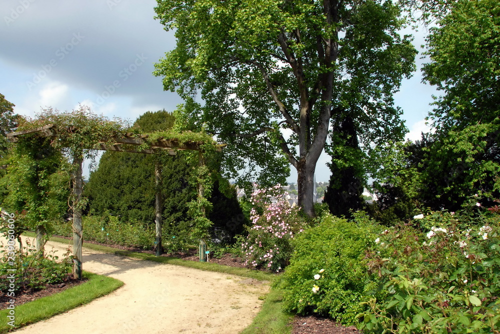 Ville de Laval, jardins de la Perrine, chemin arboré, département de la Mayenne, France