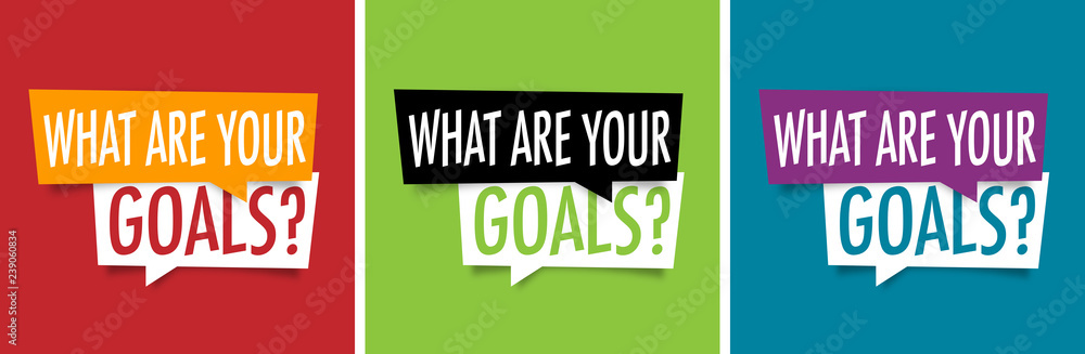 What are your goals ? What are your goals ?