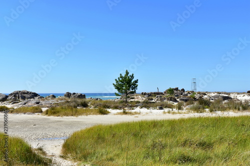 Beach with vegetation in dunes, pine trees, rocks and lifeguard tower. Turquoise water, blue and green sea colours. Sunny day, Galicia, Spain.