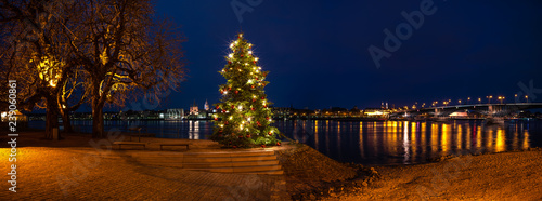 Weihnachtsbaum Mainz-Kastel