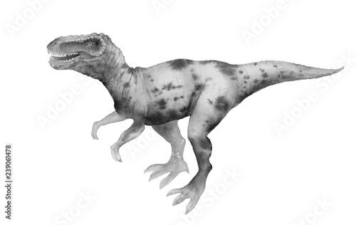 dinosaur  Tyrannosaurus Rex  painted in colors  isolated on white background. the monster  reptile of the Jurassic period.