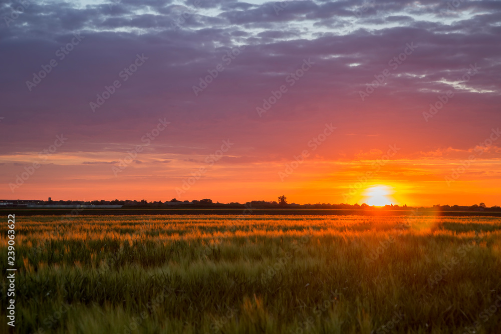 landscape sunset field landscape sunset field