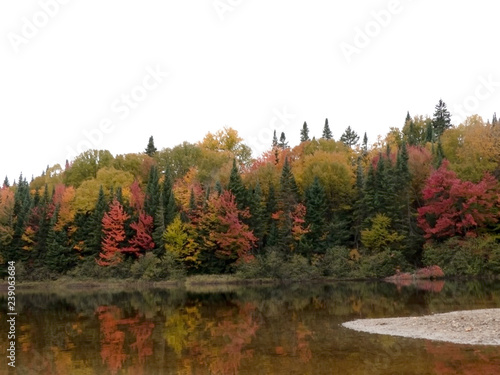 Reflets dans des arbres dans l'eau au couleurs de l'automne