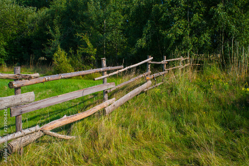 Wooden fence  on meadow