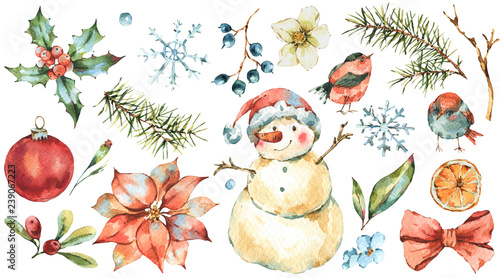 Winter Watercolor Christmas set of  Tree Branches, birds, holly, snowman, berries, poinsettia.