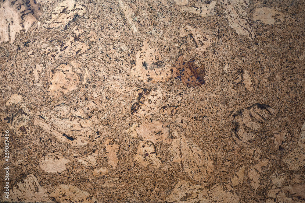 Background of brown wood texture Background of brown wood texture