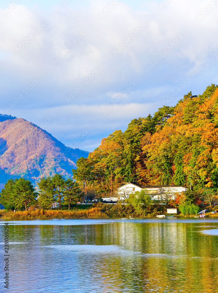 Naklejka premium Widok na jezioro Kawaguchi jesienią w Japonii.