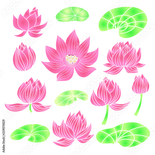 Lotus1