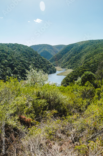 Schönes Tal mit Fluss in Südafrika bei Knysna photo