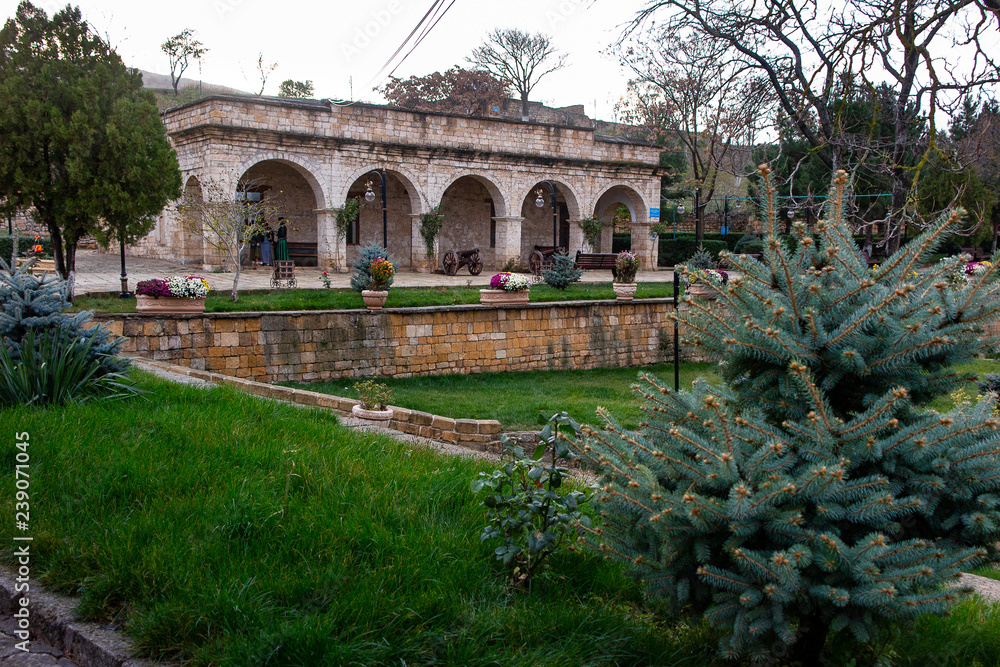 Fototapeta premium old stone bridge in the park