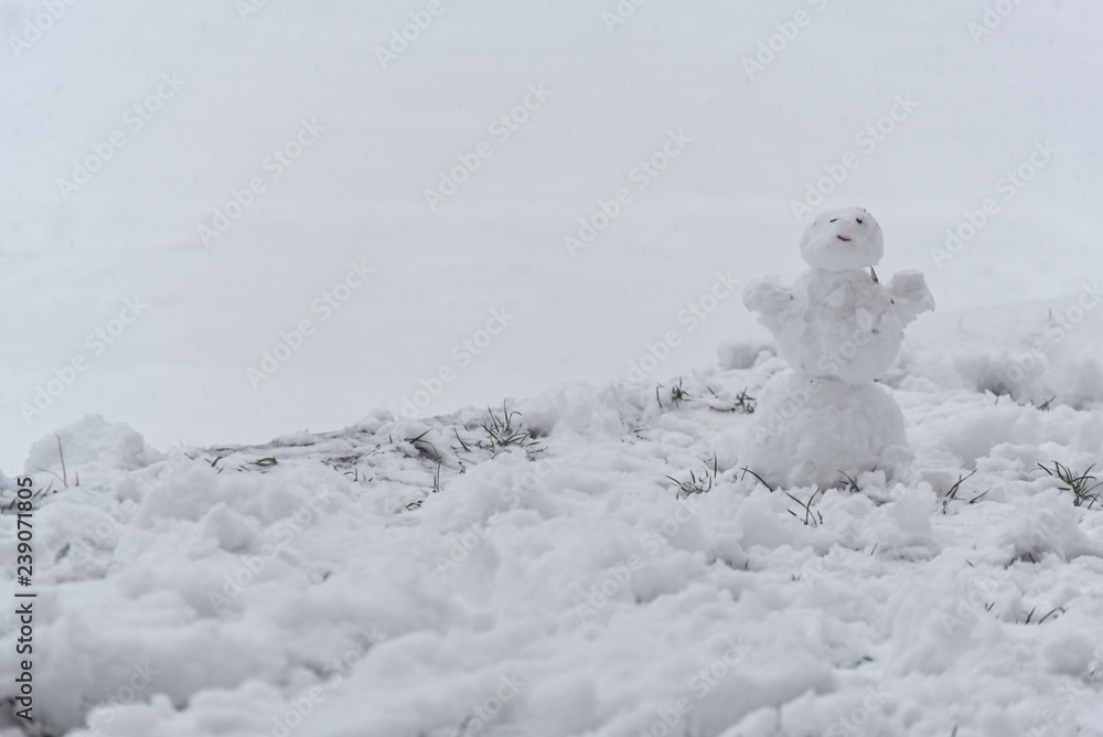 Tiny Snowman Tiny Snowman