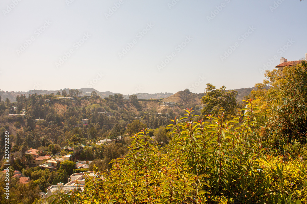 Obraz premium Los Angeles - Hollywood Hills