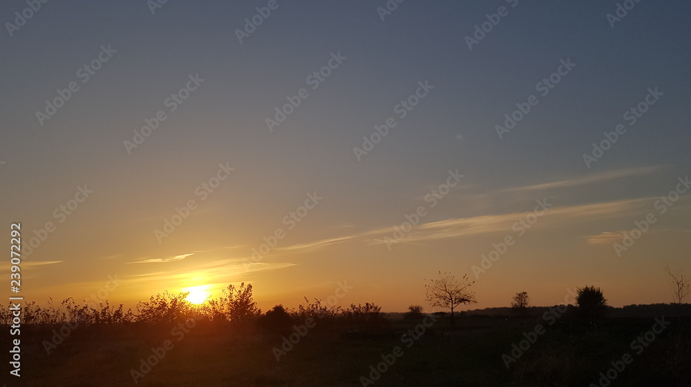 sunset in field