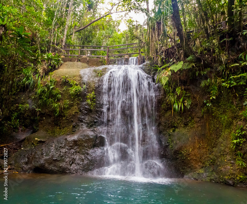 A hiking trail near a waterfall in Colo-i-Suva rain forest national park  nature reserve near Suva  Viti Levu island  Fiji  Melanesia  Oceania.