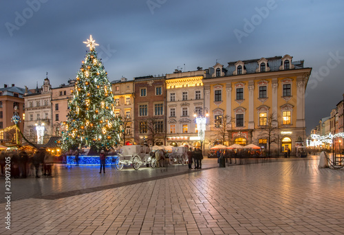 Krakow, Poland, Christmas tree on old town