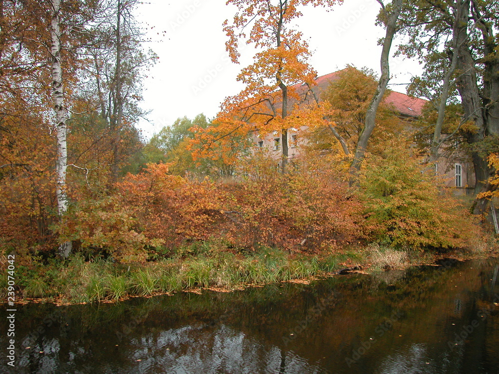 Obraz premium Karzniczka