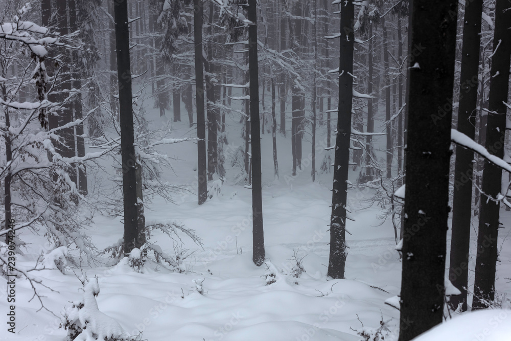 Zimowy krajobraz w polskich górach - obrazy, fototapety, plakaty 