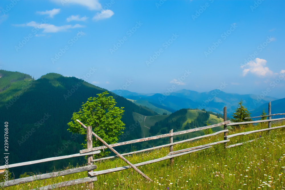Fototapeta premium Mountains
