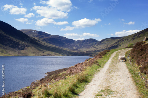 Reservoir in the Scottish Highlands 
