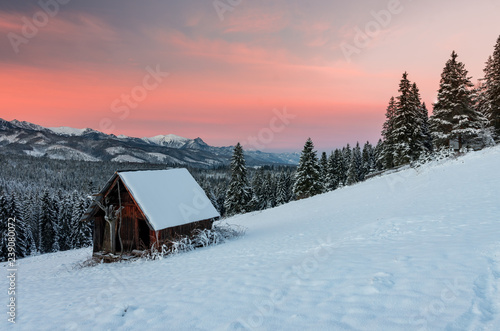 Winter Tatra mountains landscape with wooden hut in snow
