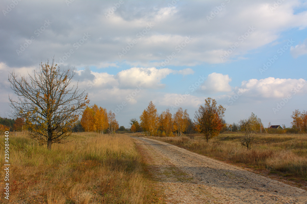 road in autumn