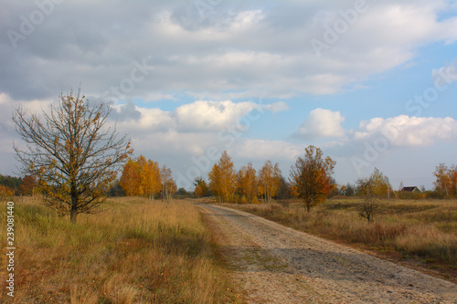 road in autumn © Yurii Shelest