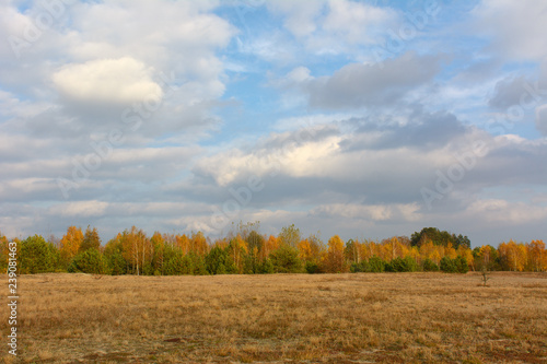 Аutumn landscape with meadow and blue sky