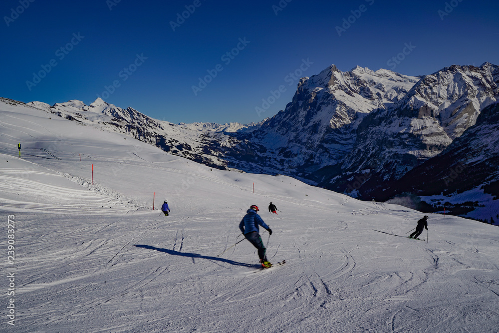 Grindelwald Skigebiet Kleine Scheidegg Lauberhorn rote piste Wetterhorn 4 Skifahrer gute Verhältnisse schönes Wetter blauer Himmel 