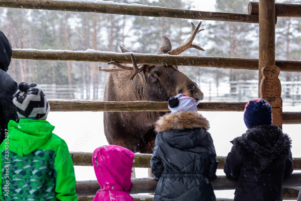 Children look at a moose in a zoo