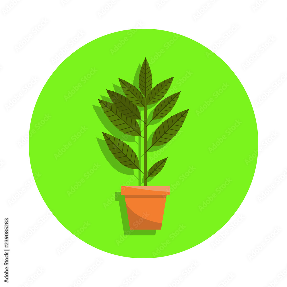 Spring colorful flowers in pot in green badge icon