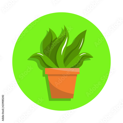 Spring colorful flowers in pot in green badge icon