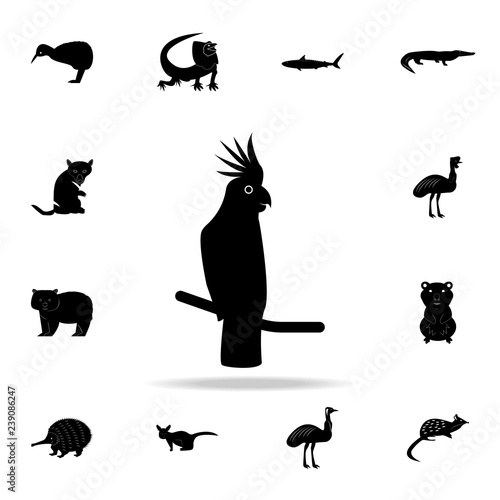 Cockatoo icon. Detailed set of Australian animal silhouette icons. Premium graphic design. One of the collection icons for websites, web design, mobile app