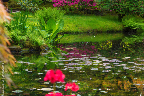 Japanese park in Hague