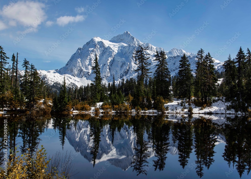 Picture Lake with Mt Shuksan reflecting in the lake is one of the most popular places in Mt Baker Snoqualmie  NF in the Northwest of Washington state.