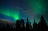 Aurora Borealis above boreal forest in Finnish Lapland.