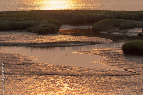 sunset wetlands with mud and pools photo