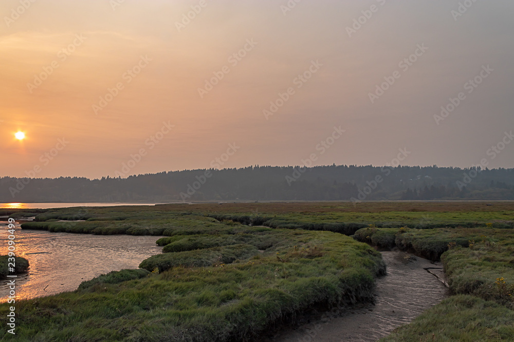 summer sun over wetlands made hazy by nearby wildfires