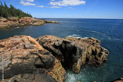 The rugged coast of Acadia National Park, Maine, under a clear and sunny summer day.