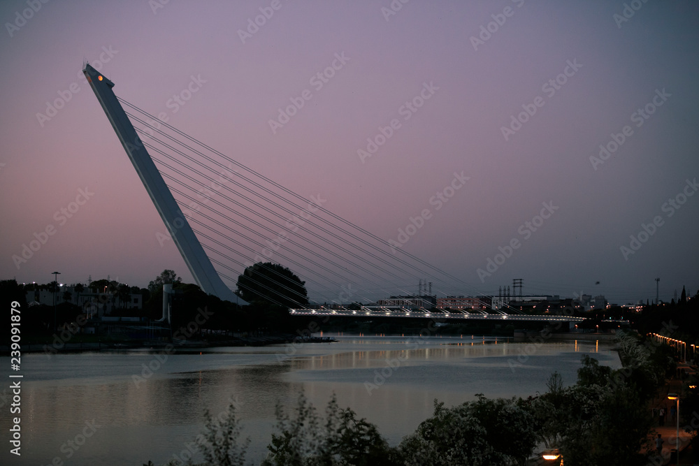 Obraz premium puente del alamillo sevilla,puente,sevilla,río