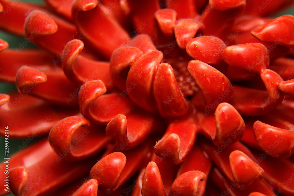 red petals of a ceramic flower