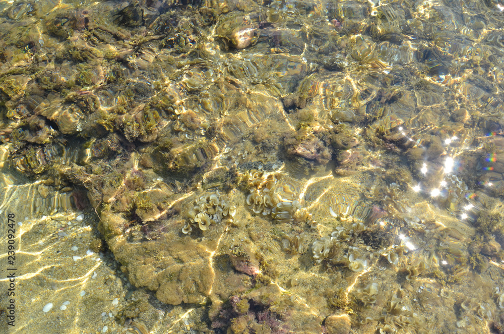 the beach with stones