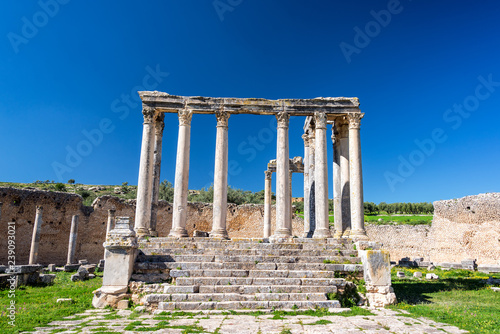 Temple of Juno Caelestis