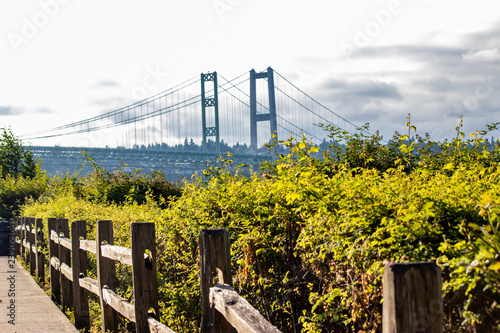 view of tacoma narrows behind green bushes and wooden fence photo