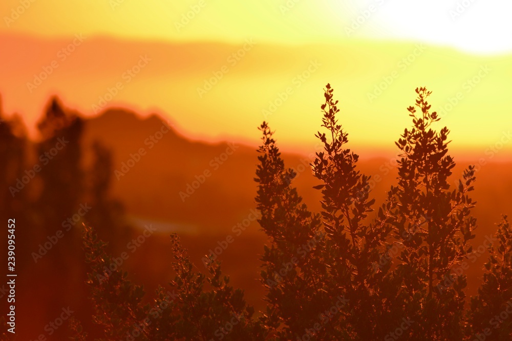 Obraz premium Sardinia Sunrise