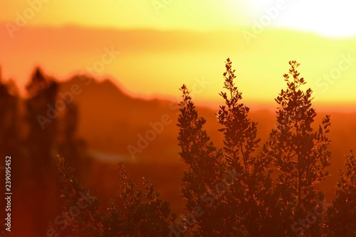 Sardinia Sunrise